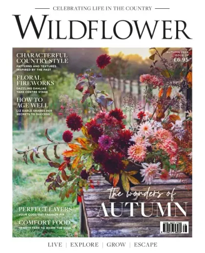 Wildflower Magazine