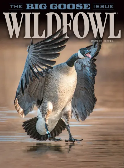 Wildfowl Magazine
