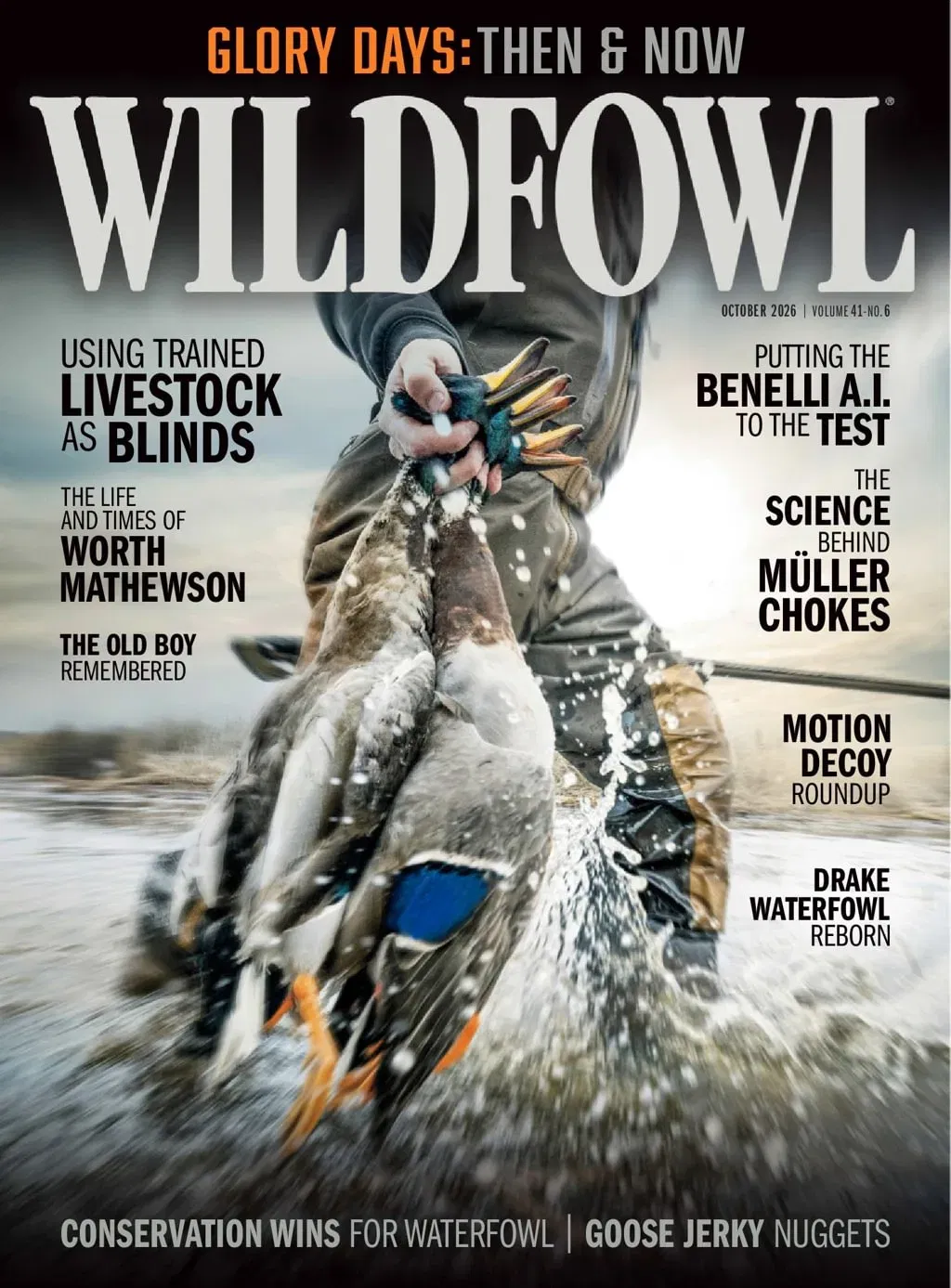 Wildfowl Magazine
