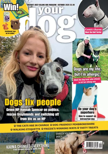 Your Dog Magazine